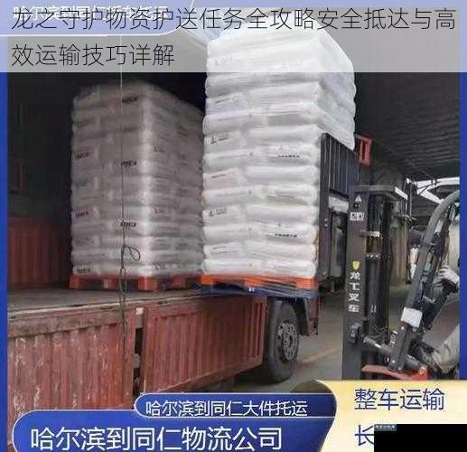 龙之守护物资护送任务全攻略安全抵达与高效运输技巧详解