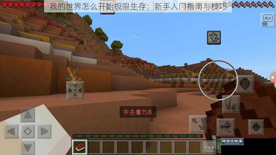 我的世界怎么开始极限生存:新手入门指南与技巧