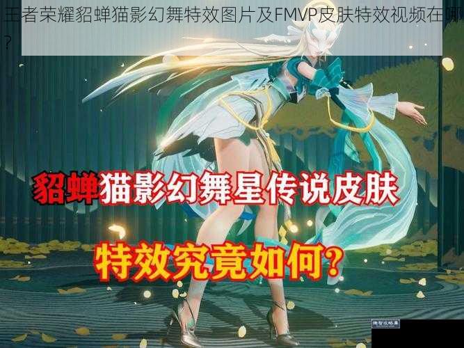 王者荣耀貂蝉猫影幻舞特效图片及 FMVP 皮肤特效视频在哪?