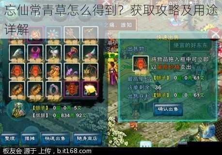 忘仙常青草怎么得到?获取攻略及用途详解