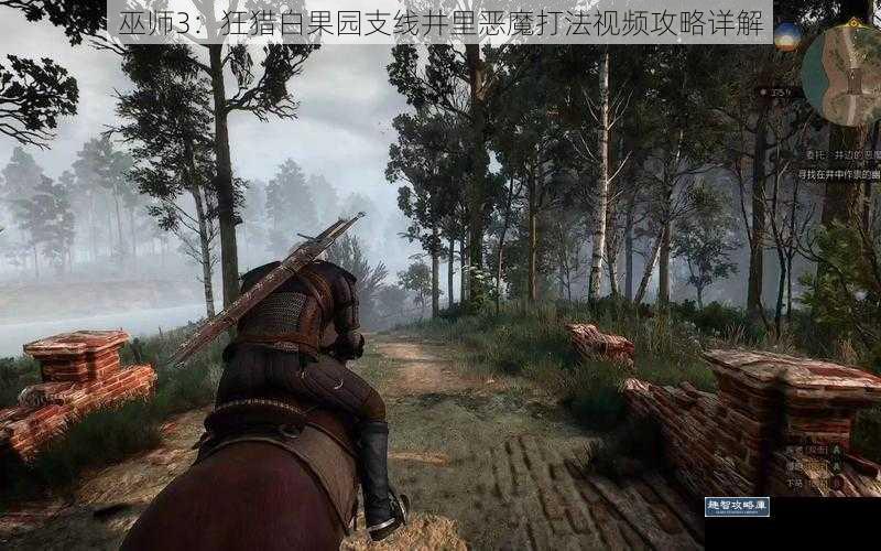 巫师 3:狂猎白果园支线井里恶魔打法视频攻略详解