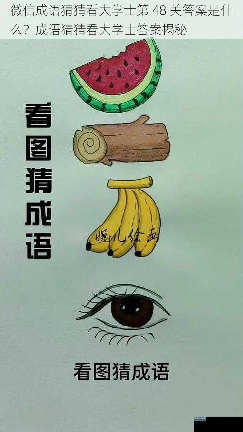 微信成语猜猜看大学士第 48 关答案是什么?成语猜猜看大学士答案揭秘