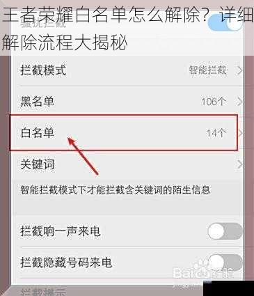 王者荣耀白名单怎么解除?详细解除流程大揭秘