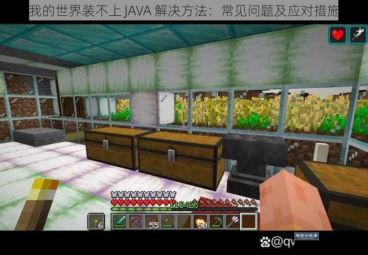 我的世界装不上 JAVA 解决方法:常见问题及应对措施