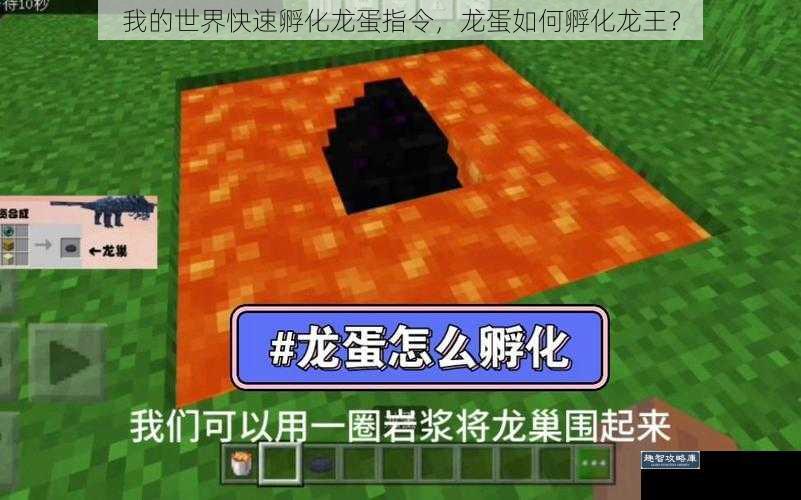 我的世界快速孵化龙蛋指令,龙蛋如何孵化龙王?