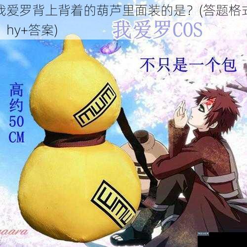 我爱罗背上背着的葫芦里面装的是?(hy+答案)