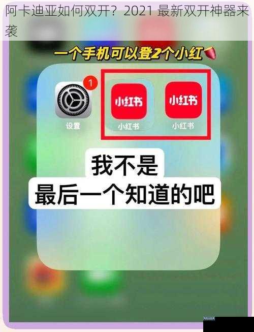 阿卡迪亚如何双开?2021 最新双开神器来袭
