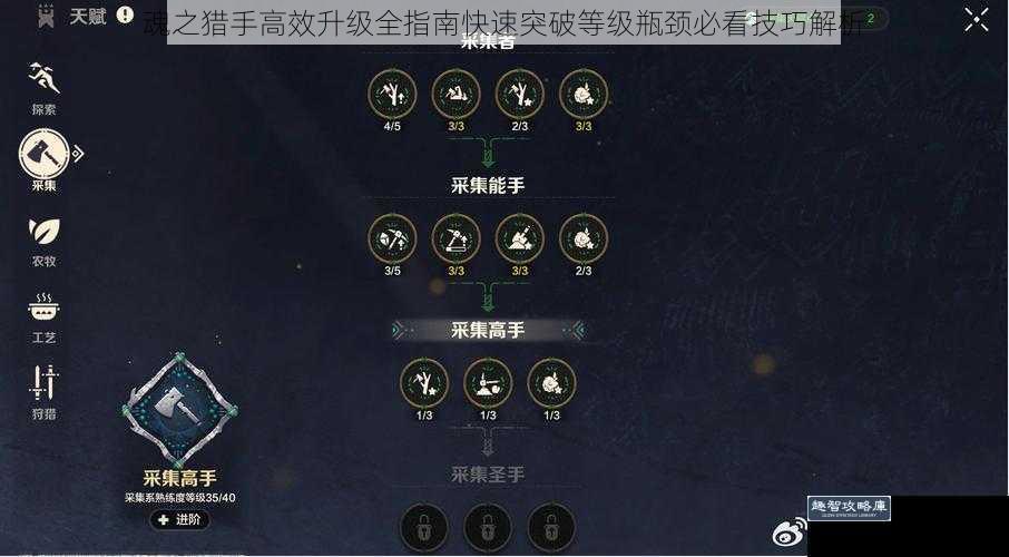 魂之猎手高效升级全指南快速突破等级瓶颈必看技巧解析