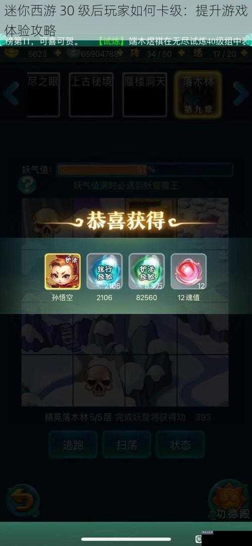 迷你西游 30 级后玩家如何卡级：提升游戏体验攻略