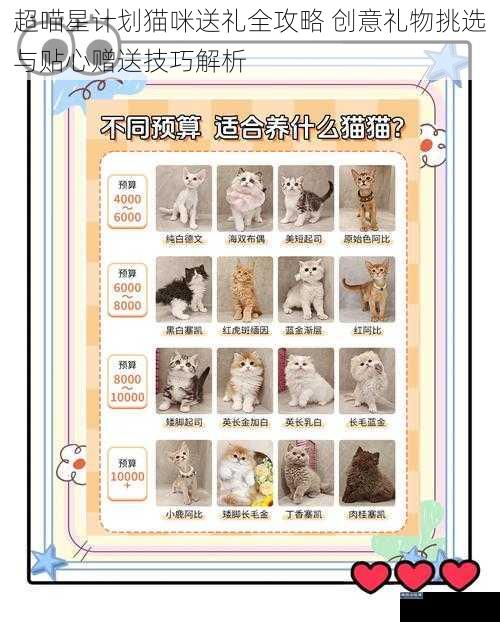 超喵星计划猫咪送礼全攻略 创意礼物挑选与贴心赠送技巧解析