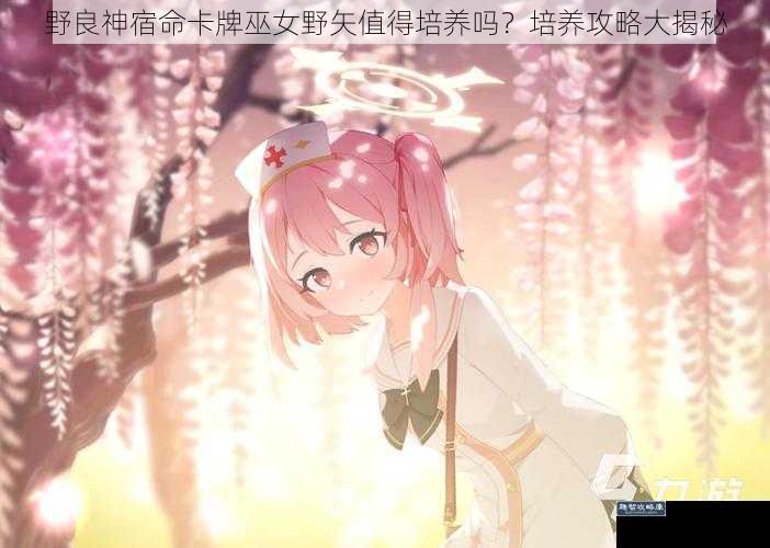 野良神宿命卡牌巫女野矢值得培养吗？培养攻略大揭秘
