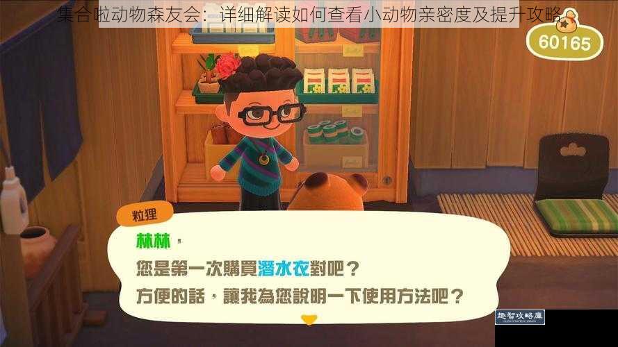 集合啦动物森友会：详细解读如何查看小动物亲密度及提升攻略