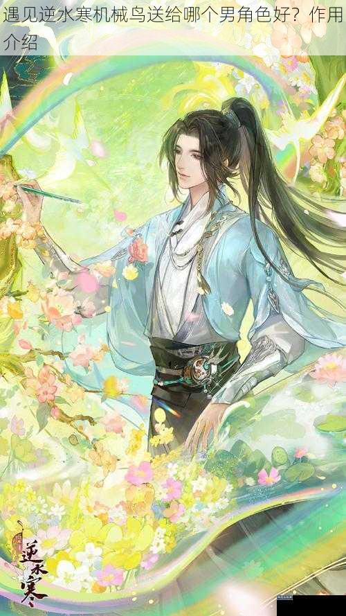 遇见逆水寒机械鸟送给哪个男角色好？作用介绍