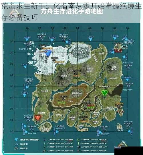 荒岛求生新手进化指南从零开始掌握绝境生存必备技巧