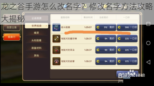 龙之谷手游怎么改名字？修改名字方法攻略大揭秘