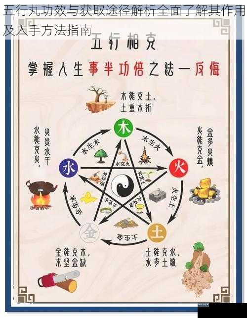 五行丸功效与获取途径解析全面了解其作用及入手方法指南
