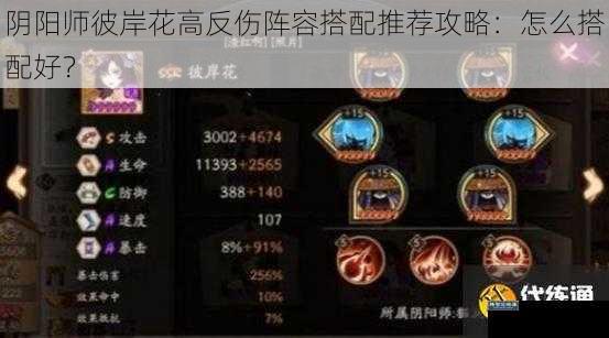 阴阳师彼岸花高反伤阵容搭配推荐攻略：怎么搭配好？
