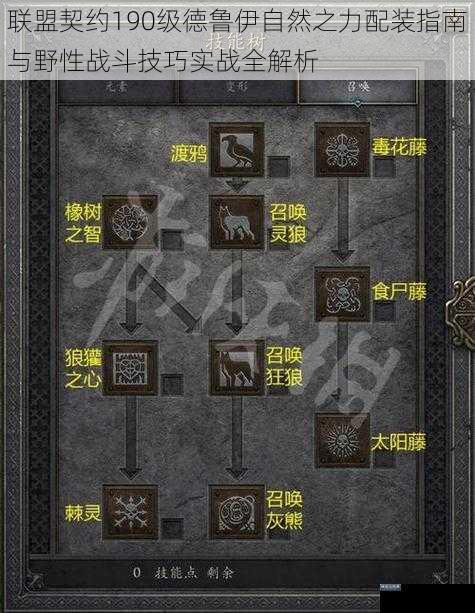 联盟契约190级德鲁伊自然之力配装指南与野性战斗技巧实战全解析