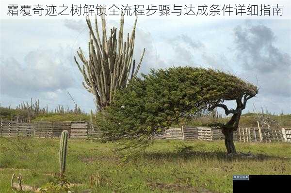 霜覆奇迹之树解锁全流程步骤与达成条件详细指南