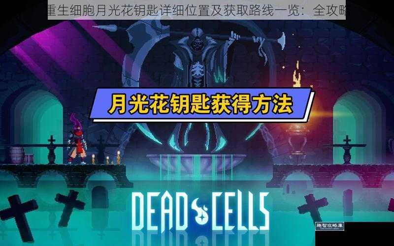 重生细胞月光花钥匙详细位置及获取路线一览：全攻略