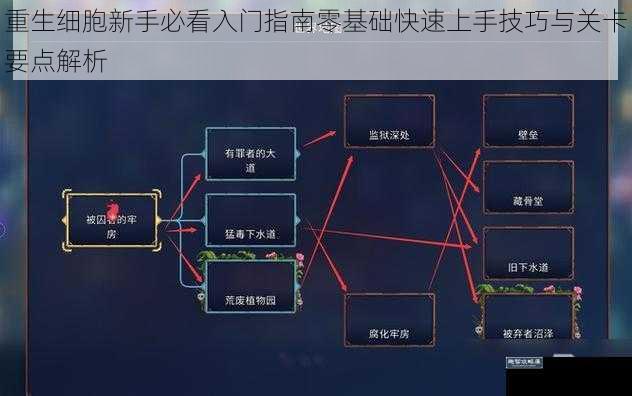 重生细胞新手必看入门指南零基础快速上手技巧与关卡要点解析
