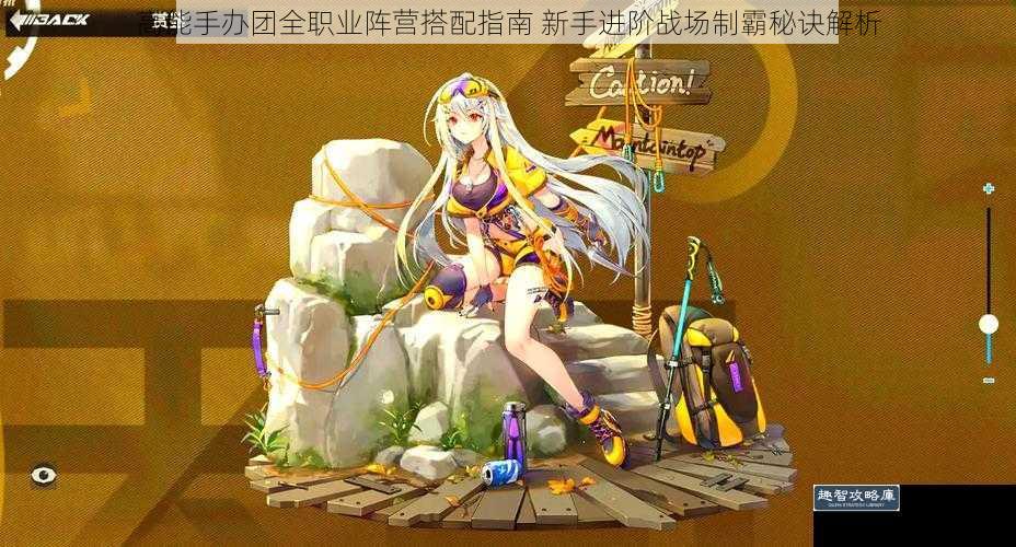 高能手办团全职业阵营搭配指南 新手进阶战场制霸秘诀解析