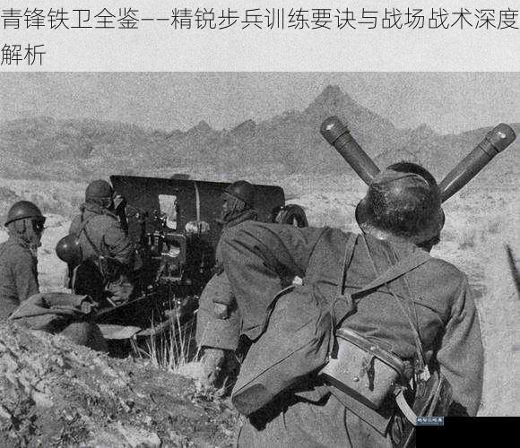 青锋铁卫全鉴——精锐步兵训练要诀与战场战术深度解析