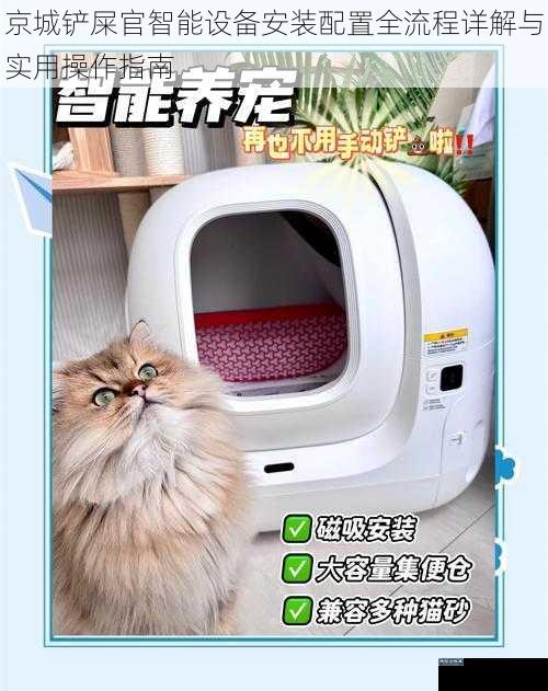 京城铲屎官智能设备安装配置全流程详解与实用操作指南