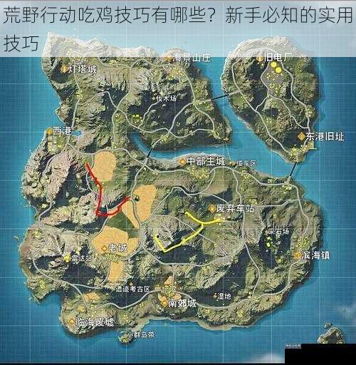 荒野行动吃鸡技巧有哪些？新手必知的实用技巧