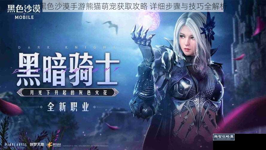 黑色沙漠手游熊猫萌宠获取攻略 详细步骤与技巧全解析
