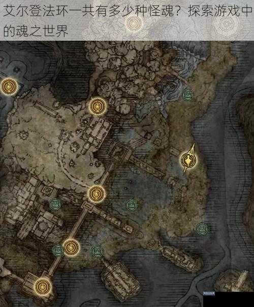 艾尔登法环一共有多少种怪魂？探索游戏中的魂之世界