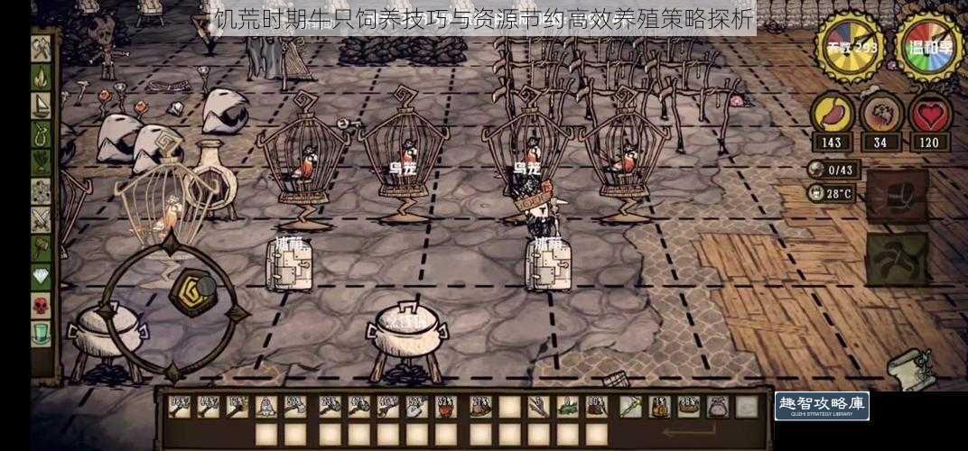 饥荒时期牛只饲养技巧与资源节约高效养殖策略探析