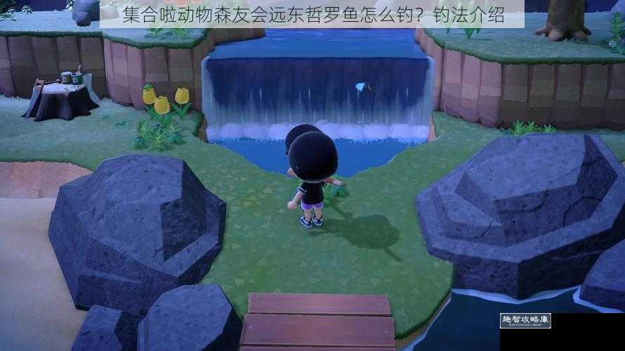 集合啦动物森友会远东哲罗鱼怎么钓？钓法介绍