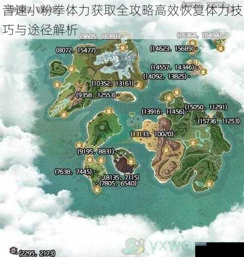 音速小粉拳体力获取全攻略高效恢复体力技巧与途径解析