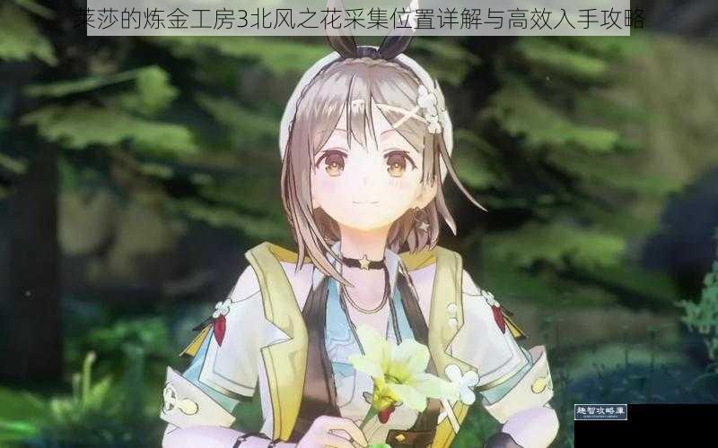 莱莎的炼金工房3北风之花采集位置详解与高效入手攻略