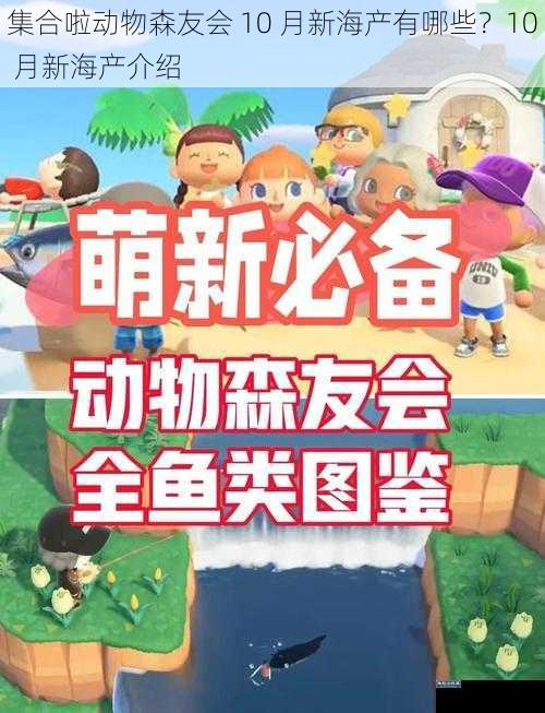 集合啦动物森友会 10 月新海产有哪些？10 月新海产介绍