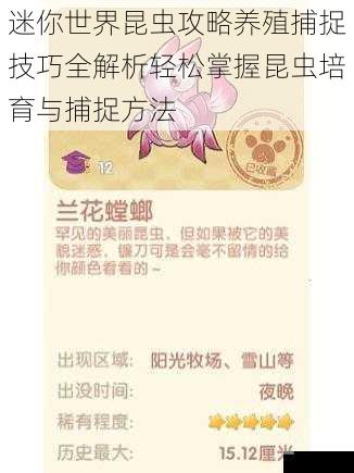 迷你世界昆虫攻略养殖捕捉技巧全解析轻松掌握昆虫培育与捕捉方法