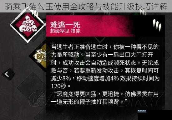 骑乘飞猫勾玉使用全攻略与技能升级技巧详解