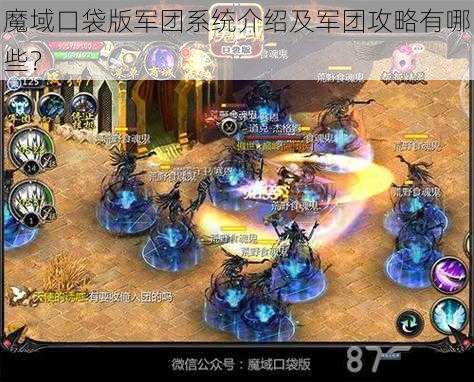 魔域口袋版军团系统介绍及军团攻略有哪些？