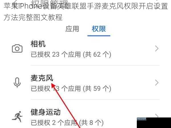 苹果iPhone设备英雄联盟手游麦克风权限开启设置方法完整图文教程