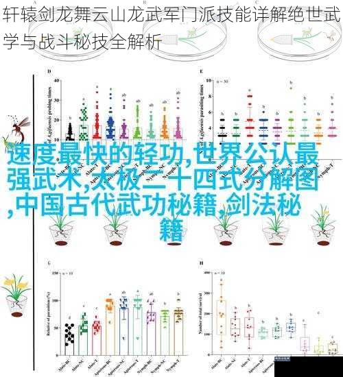 轩辕剑龙舞云山龙武军门派技能详解绝世武学与战斗秘技全解析