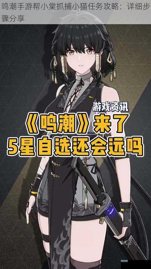 鸣潮手游帮小棠抓捕小猫任务攻略：详细步骤分享
