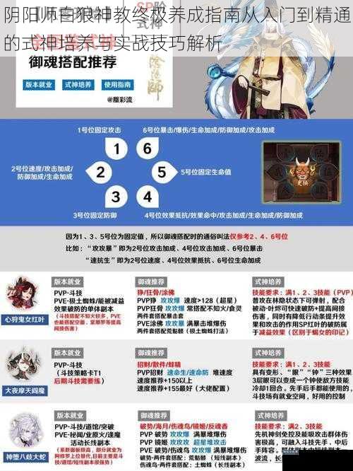 阴阳师白狼神教终极养成指南从入门到精通的式神培养与实战技巧解析