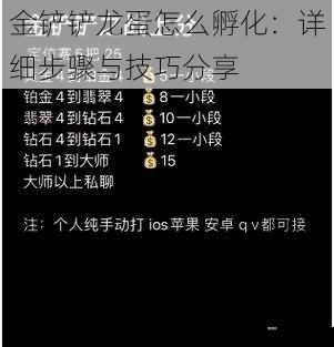 金铲铲龙蛋怎么孵化：详细步骤与技巧分享