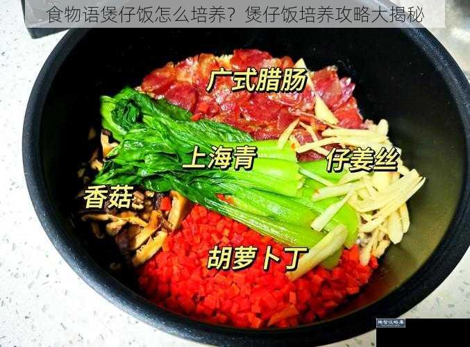 食物语煲仔饭怎么培养？煲仔饭培养攻略大揭秘