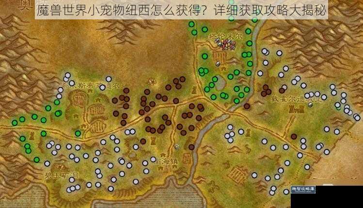 魔兽世界小宠物纽西怎么获得？详细获取攻略大揭秘