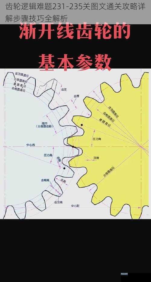 齿轮逻辑难题231-235关图文通关攻略详解步骤技巧全解析