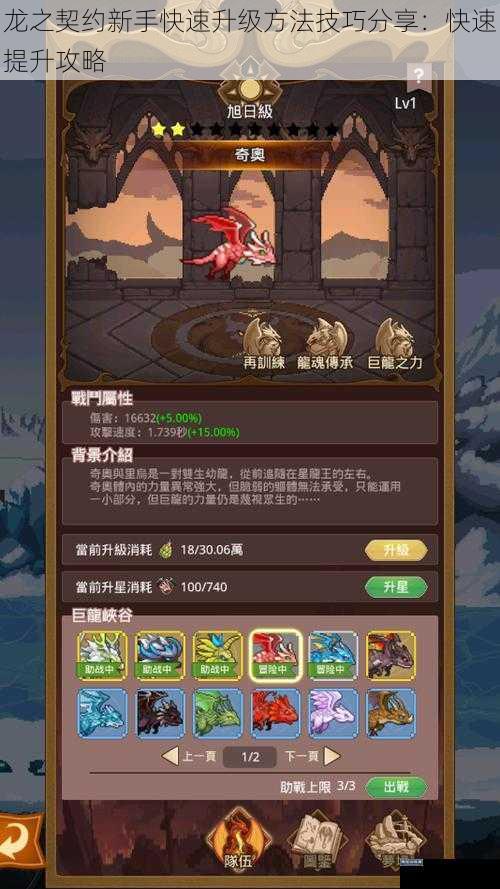 龙之契约新手快速升级方法技巧分享:快速提升攻略