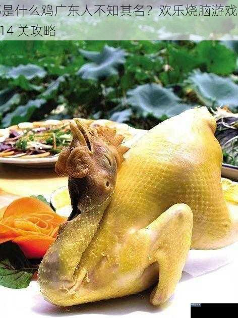 那是什么鸡广东人不知其名?欢乐烧脑游戏第 114 关攻略