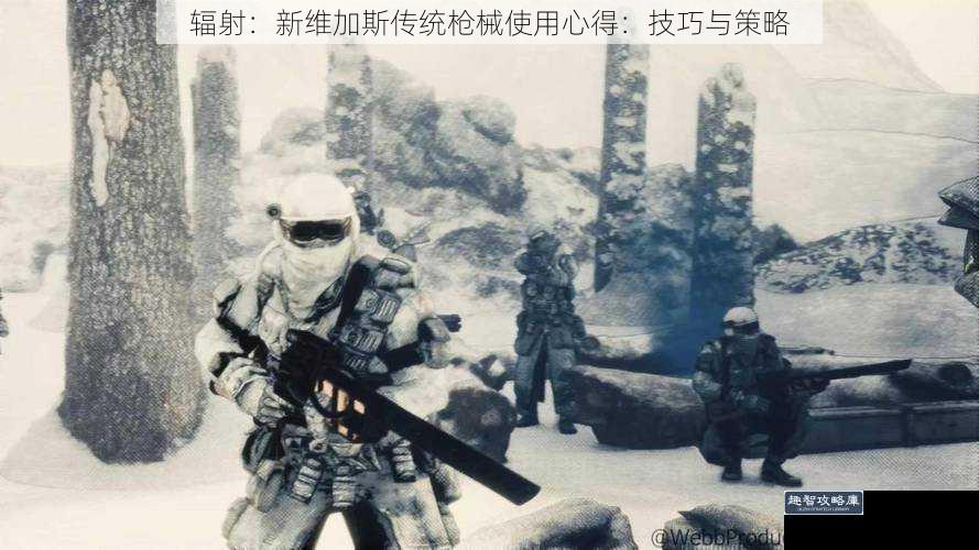辐射：新维加斯传统枪械使用心得：技巧与策略